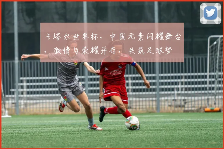 卡塔尔世界杯，中国元素闪耀舞台，激情与荣耀并存，共筑足球梦