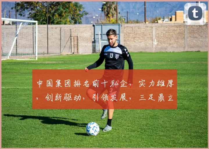 中国集团排名前十私企，实力雄厚，创新驱动，引领发展，三足鼎立，共筑辉煌。