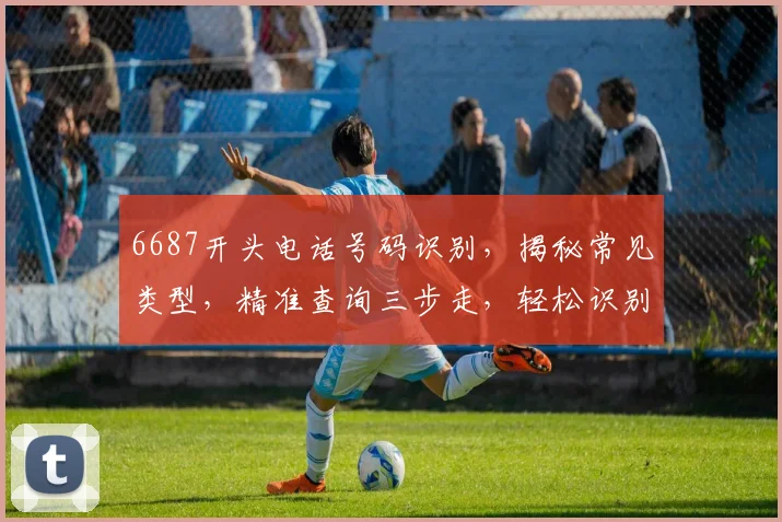 6687开头电话号码识别，揭秘常见类型，精准查询三步走，轻松识别真假号码