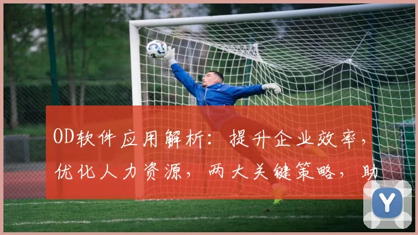 OD软件应用解析：提升企业效率，优化人力资源，两大关键策略，助力企业发展